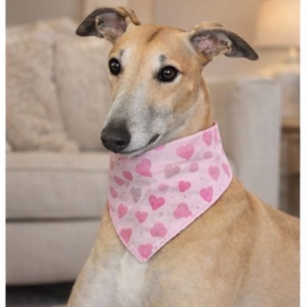 Valentine’s Day Patterned Dog Scrunchie Bandana- Homemade